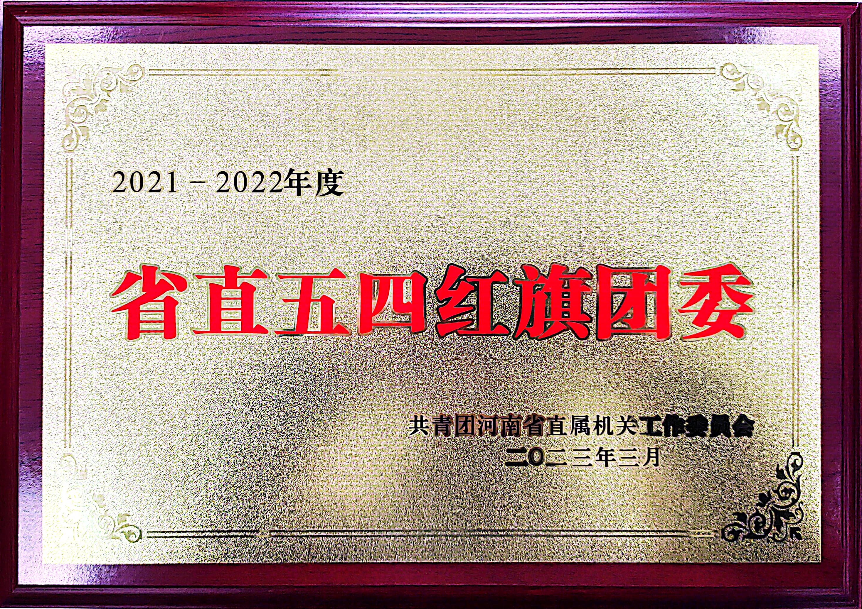 省直五四团委.jpg
