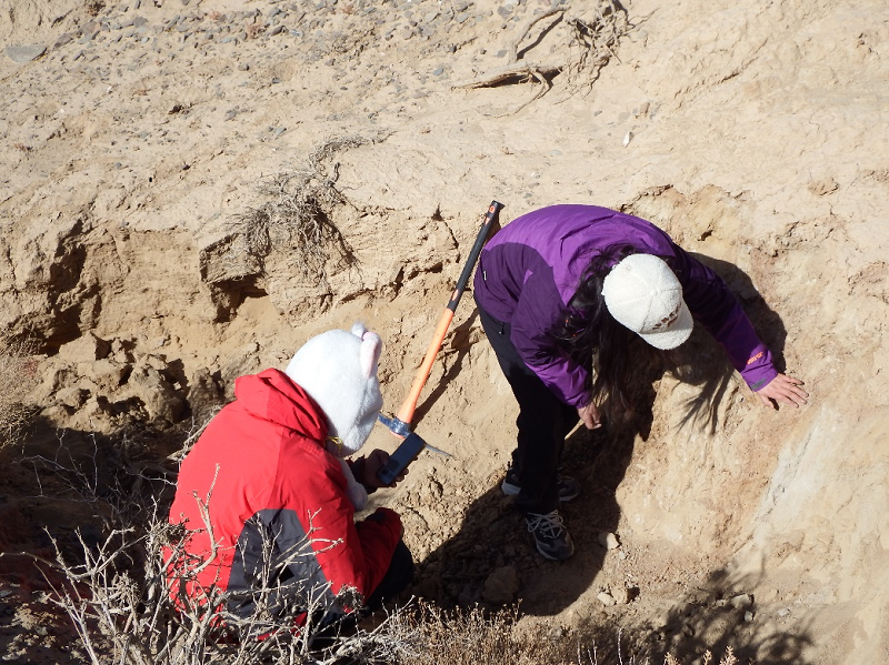 1769740686354876.png 图片3.png